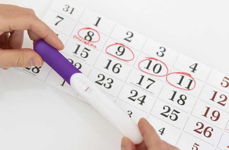 Calcul de votre date d'ovulation