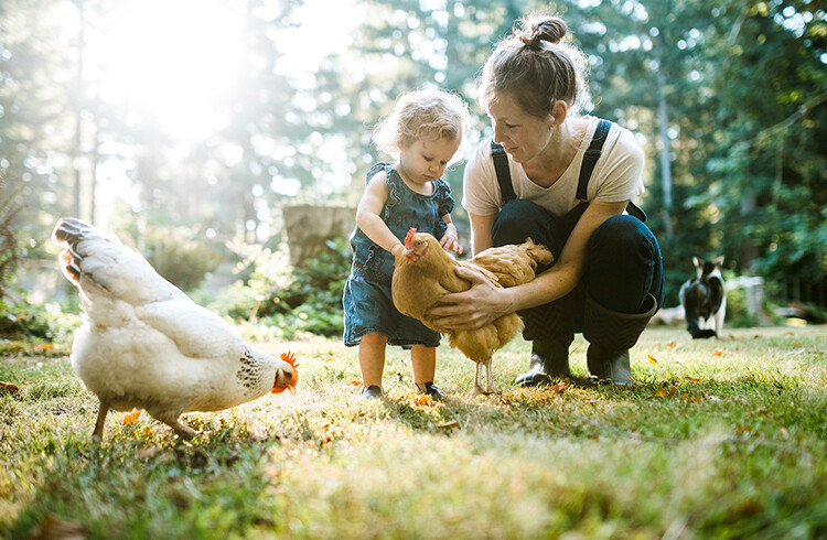 Les sorties avec bébé