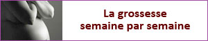 grossesse semaine par semaine